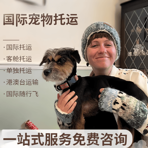 中卫市国际宠物托运到阿根廷宠物入境规定和要