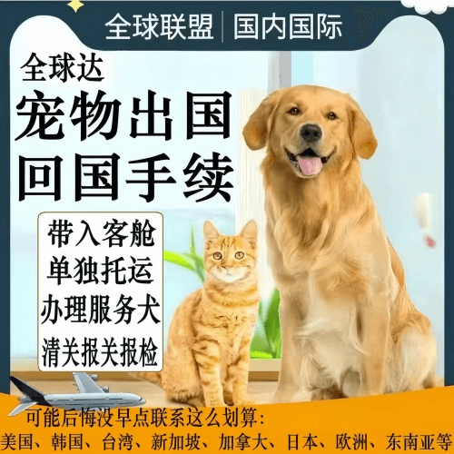 中卫市宠物托运到柬埔寨宠物入境规定和要求