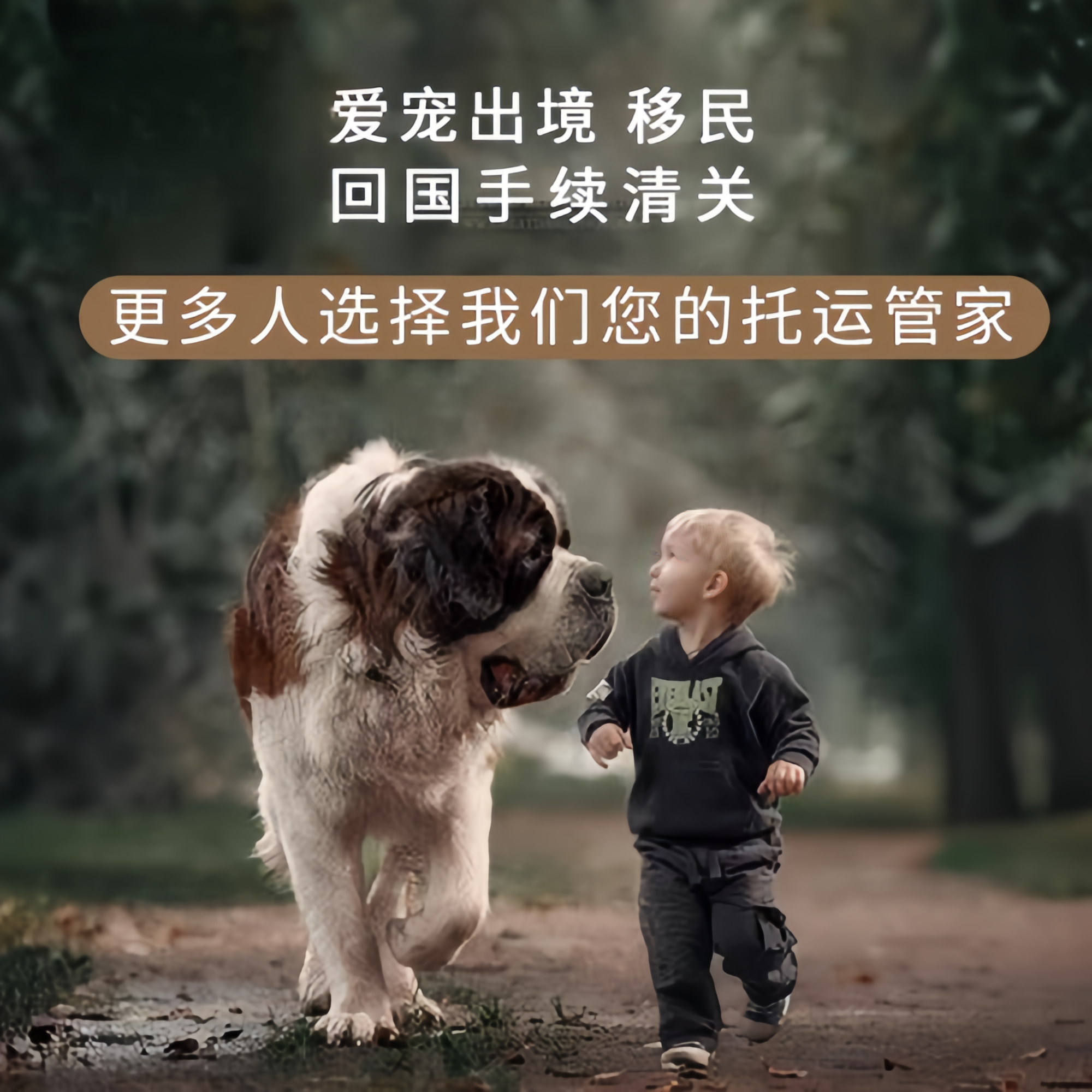 满财中卫市宠物全球达宠物托运在遵守入境目的地政策的条件