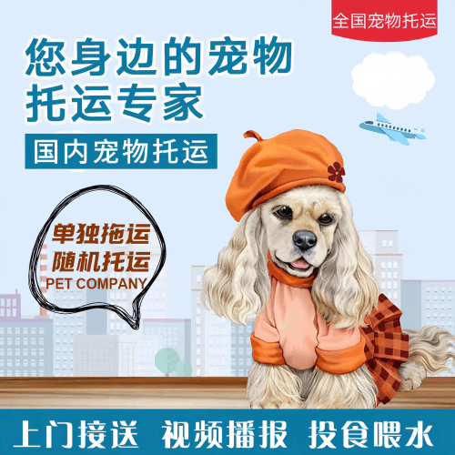 满财中卫市宠物全球达宠物托运作为专业的宠物运输代理机构